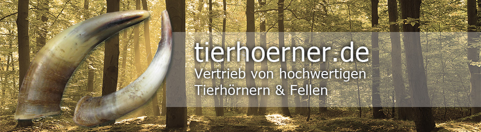 knochenpraeparation.de - Professionelle Prparation von Knochen